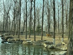 -北京野生动物园
