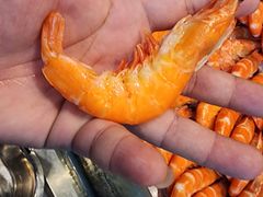 -安阳迎宾馆-普利亚西餐厅
