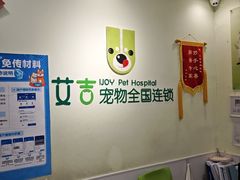 -艾吉宠物医院·疑难杂症转诊中心·猫友好(碧江路院)