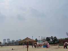 -九龙湖公园