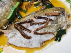 陳皮蒸泥鯭魚-兴记菜馆