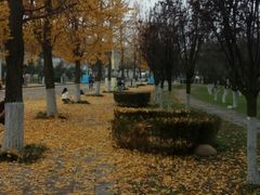 -成都中医药大学(温江校区)