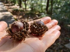 -敬亭山风景名胜区