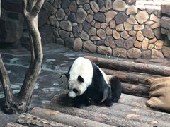 -济南野生动物世界