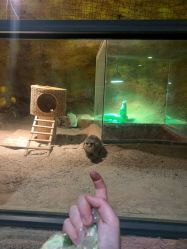 -酷嗒动物文化乐园(cutezoo西溪乐天城店)