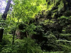 -青城山