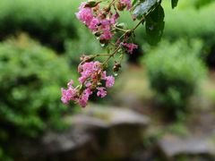 -中国茶叶博物馆(双峰馆区)