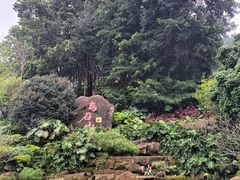 -乌山风景区