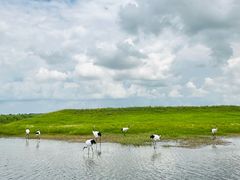 -黑龙江扎龙生态旅游区