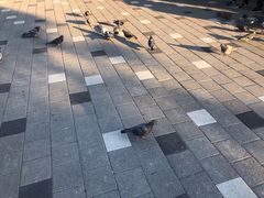 -韩国战争纪念馆