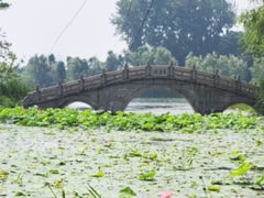 -渤公岛生态公园