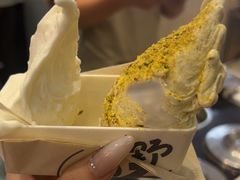 -野人先生现做冰淇淋(西安赛格店)