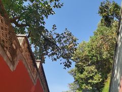 -潭柘寺景区
