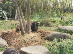 -茅山东方盐湖城景区