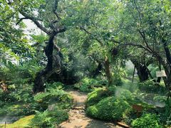 -Chom Cafe and Restaurant