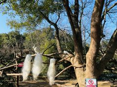 -宁波野生动物园