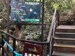-呀诺达热带雨林
