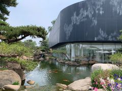 -罗红摄影艺术馆