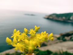 -东极岛景区