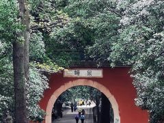 -灵谷景区
