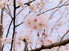 -西北湖绿化广场