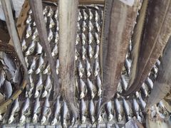 -南沙十九涌渔人码头-南门