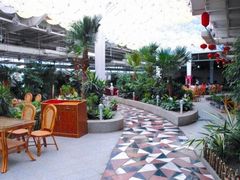 -红栌温泉山庄生态美食餐厅