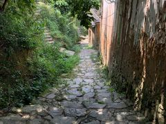 -杨家堂村