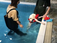 -Goku PET SHOP宠物视觉生活馆(双井店)