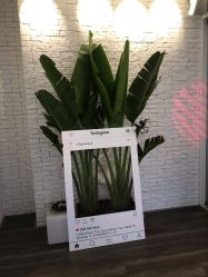 -V Beautique妆颜美学体验馆