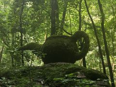-牛背梁国家森林公园