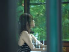 -合肥滨湖国家森林公园