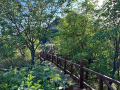 -大岭沟猕猴桃谷风景区
