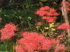 -狼山风景名胜区