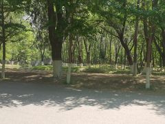 -长白岛森林公园