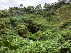 -海口火山口国家地质公园