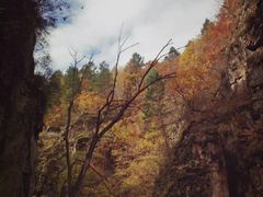 -茅兰沟国家森林公园