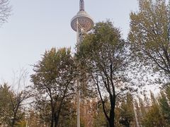 -龙塔