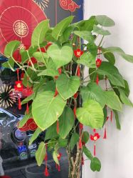 -蕾特恩专业祛痘·皮肤管理