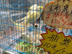 -南宁国际会展中心