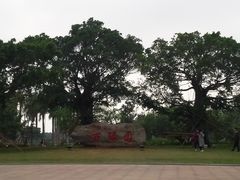 -万绿园