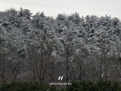 -南京信息职业技术学院