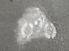 -广东花都湖国家湿地公园