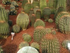 -南通洲际绿博园