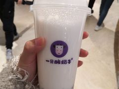 -一只酸奶牛(时代天街A馆店)