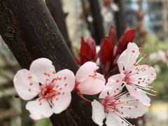 -秦云老太婆摊摊面(全国总店)