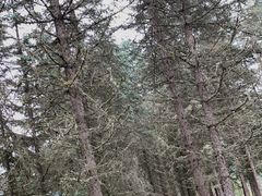 -硗碛藏寨·神木垒景区