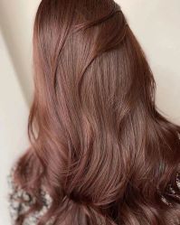 -MOVAN  HAIR莫凡匠人发型屋