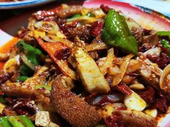 -柴窝堡22号辣子鸡·传承新疆菜