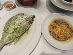 -稻香酒家·35年老字号(侨光店)